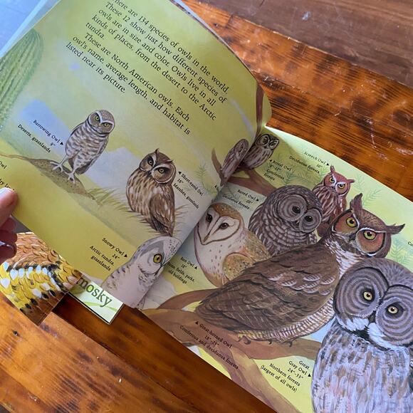 Vintage 90s Scholastic Bundle of 3 All About ... Paperback Books - Picture 9 of 12